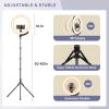 Sensyne 12-inch Ring Light with 67-inch Selfie Stick, Tripod and Phone Holder, Selfie Remote Control Circle Light for Live Stream/Video Recording/TikTok, Compatible with All Phones and Cameras(12.5”)