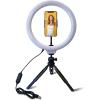 Fugetek 12″ Desktop Ring Light with Phone Tripod Stand, Phone Mount, USB Powered, Easy Extendable Legs, LED, 3 Color Modes, Dimmable, Photos, Video, TIK Tok Black