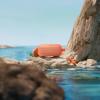 Bose SoundLink Flex Bluetooth Speaker (2nd Gen) – Portable Outdoor Speaker with Hi-Fi Audio, Waterproof and Dustproof, USB-C, Up to 12 Hours Battery Life, Sunset Peach – Limited Edition Color(Sunset Peach)