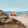 Bose SoundLink Micro Portable Bluetooth Speaker (2nd Gen), Wireless Outdoor Speaker, Up to 12 Hours Battery Life, Waterproof and Dustproof, Sunset Peach – Limited Edition Color(Sunset Peach)